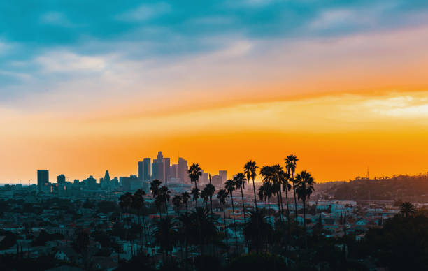 Downtown Los Angeles skyline at sunset with palm trees in the foreground Los Angeles Junk Removal