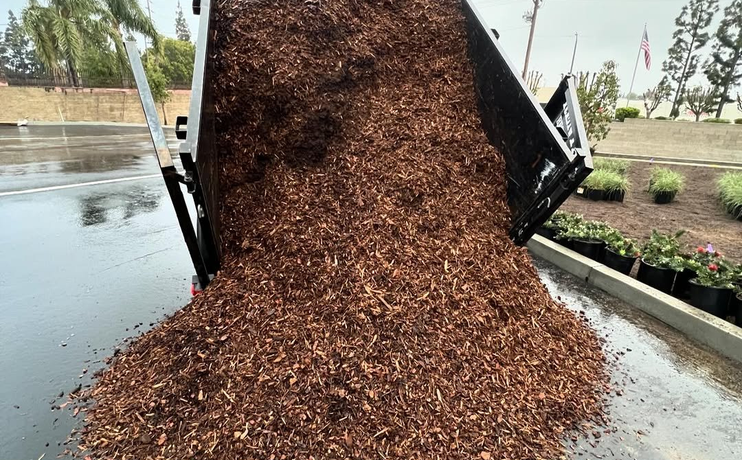 Los Angeles Junk Removal_Yard and Green Waste