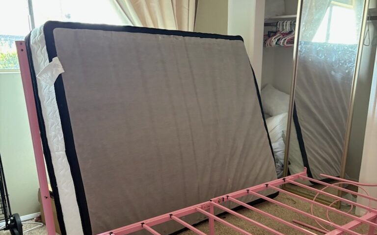 Bulky Item_Junk Removal_Link Header